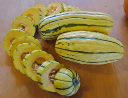 delicata