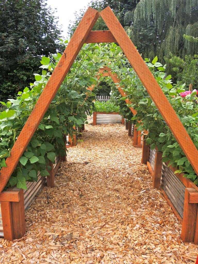 Vine tee pee ramp